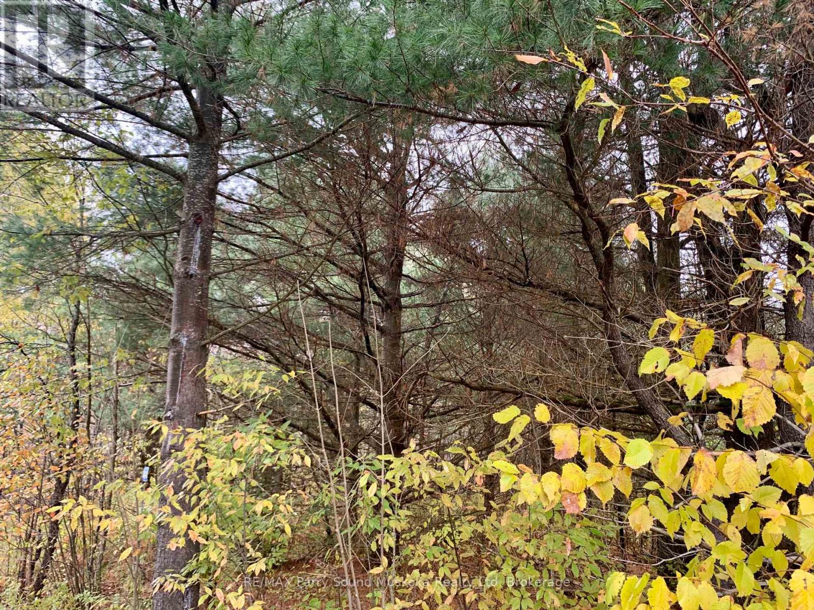 Lot 1 Unnamed Road, Whitestone, Ontario  P0A 1G0 - Photo 10 - X12908834