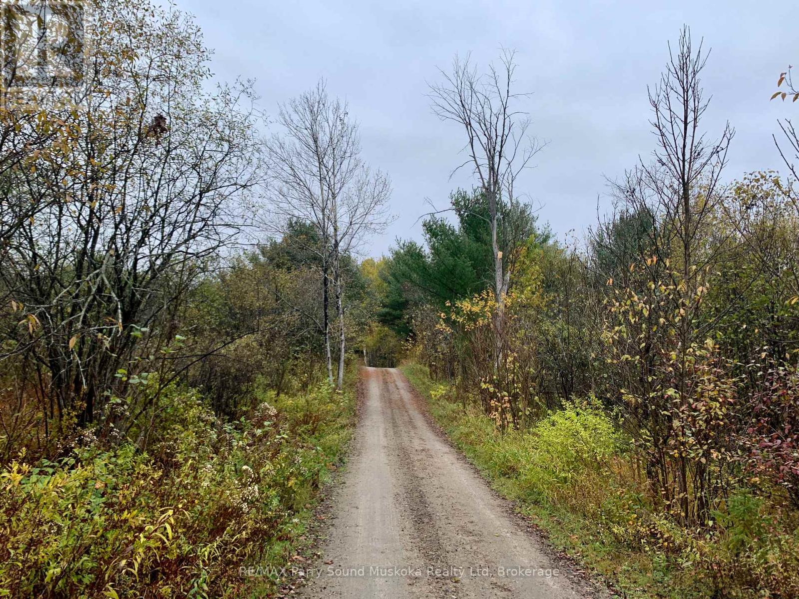 Lot 1 Unnamed Road, Whitestone, Ontario  P0A 1G0 - Photo 3 - X12908834
