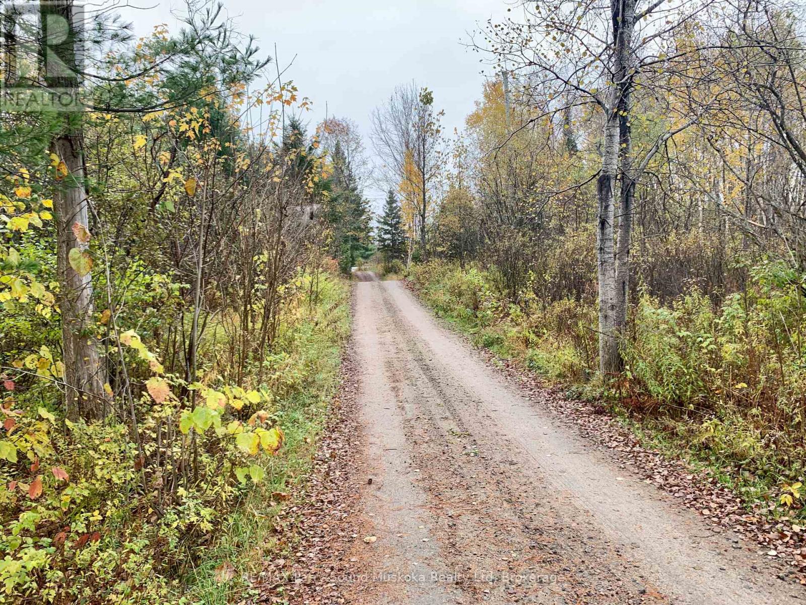 Lot 1 Unnamed Road, Whitestone, Ontario  P0A 1G0 - Photo 5 - X12908834