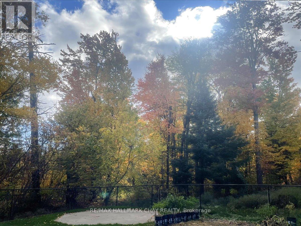 1103 Belle Aire Beach Road, Innisfil, Ontario  L0L 1C0 - Photo 29 - N12908644