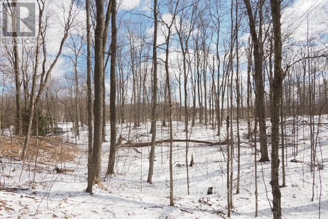 4436 Concession Road 11 Road, Puslinch, Ontario  L0P 1J0 - Photo 45 - X12908812