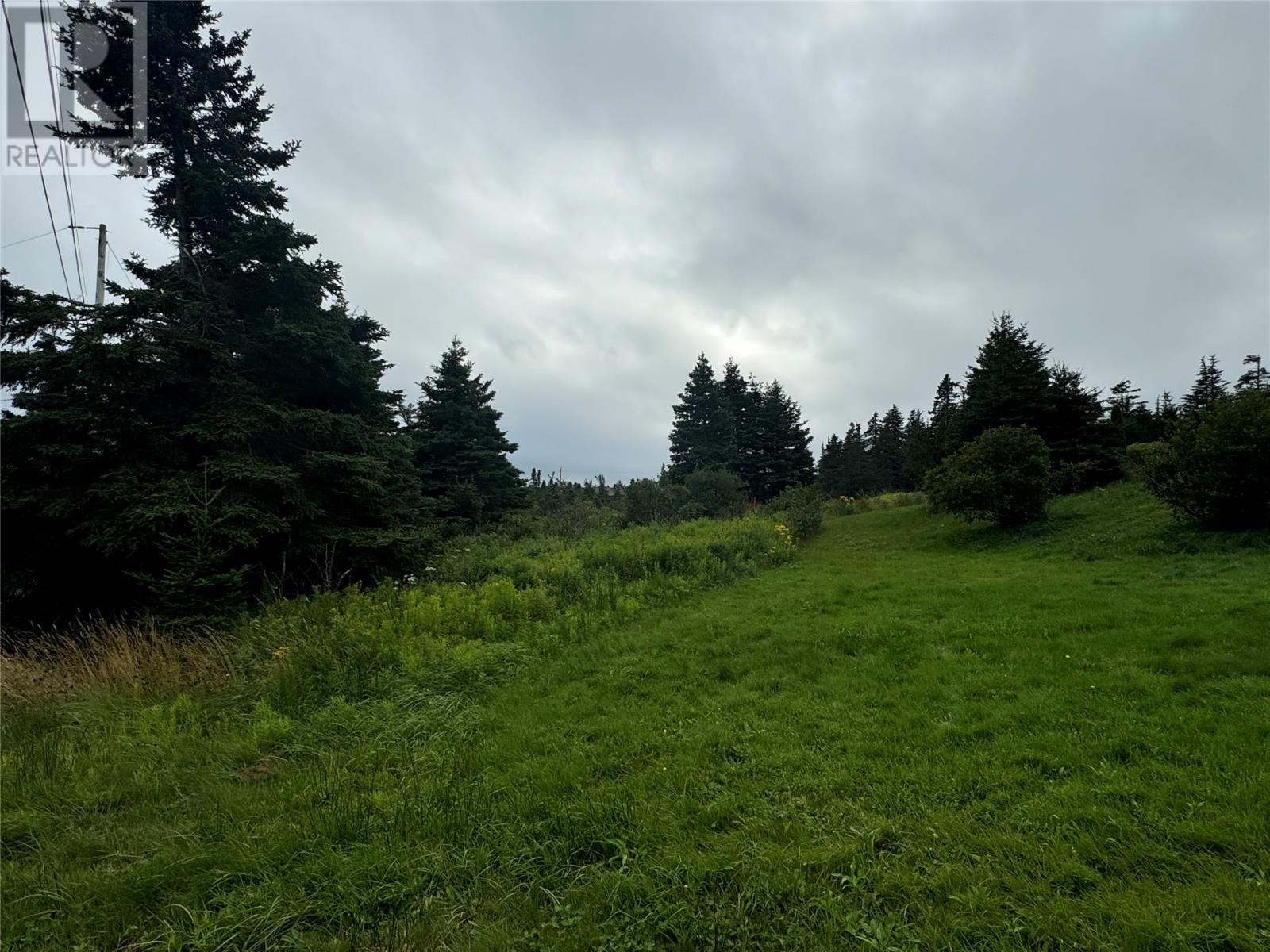 17 Crowes Lane, Torbay, Newfoundland & Labrador  A1K 1H5 - Photo 3 - 1289272