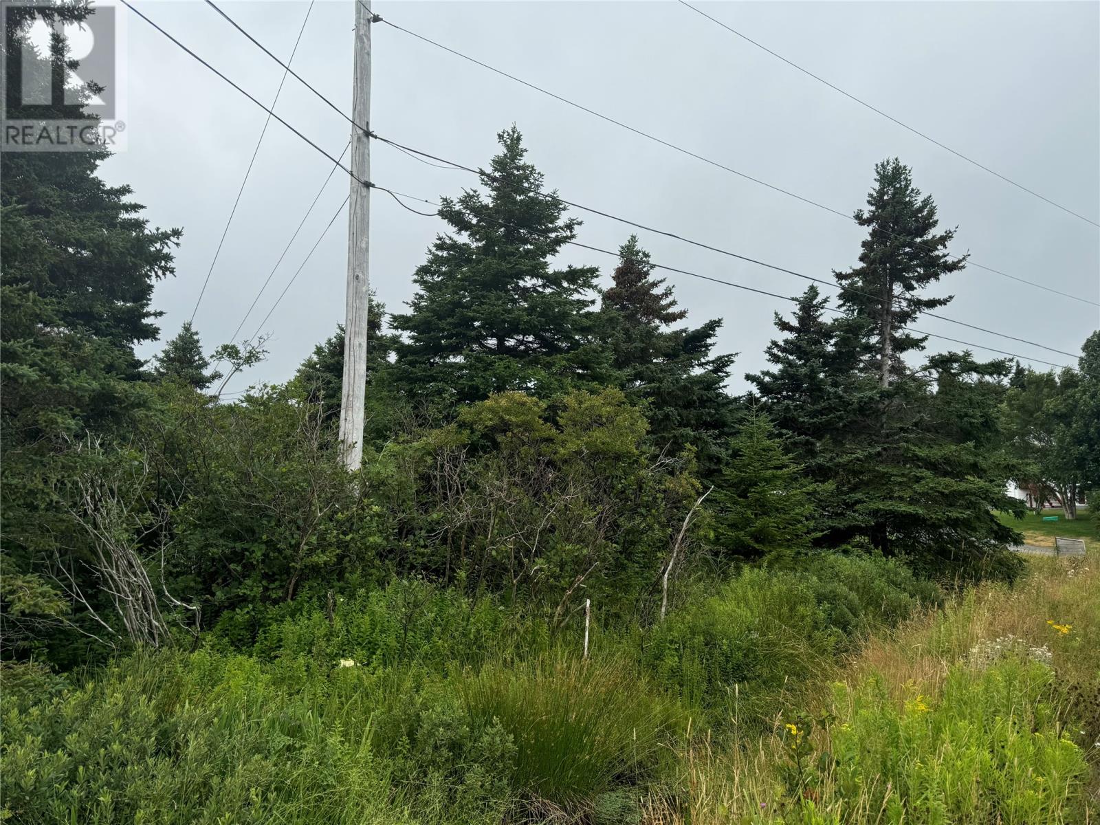 17 Crowes Lane, Torbay, Newfoundland & Labrador  A1K 1H5 - Photo 2 - 1289272