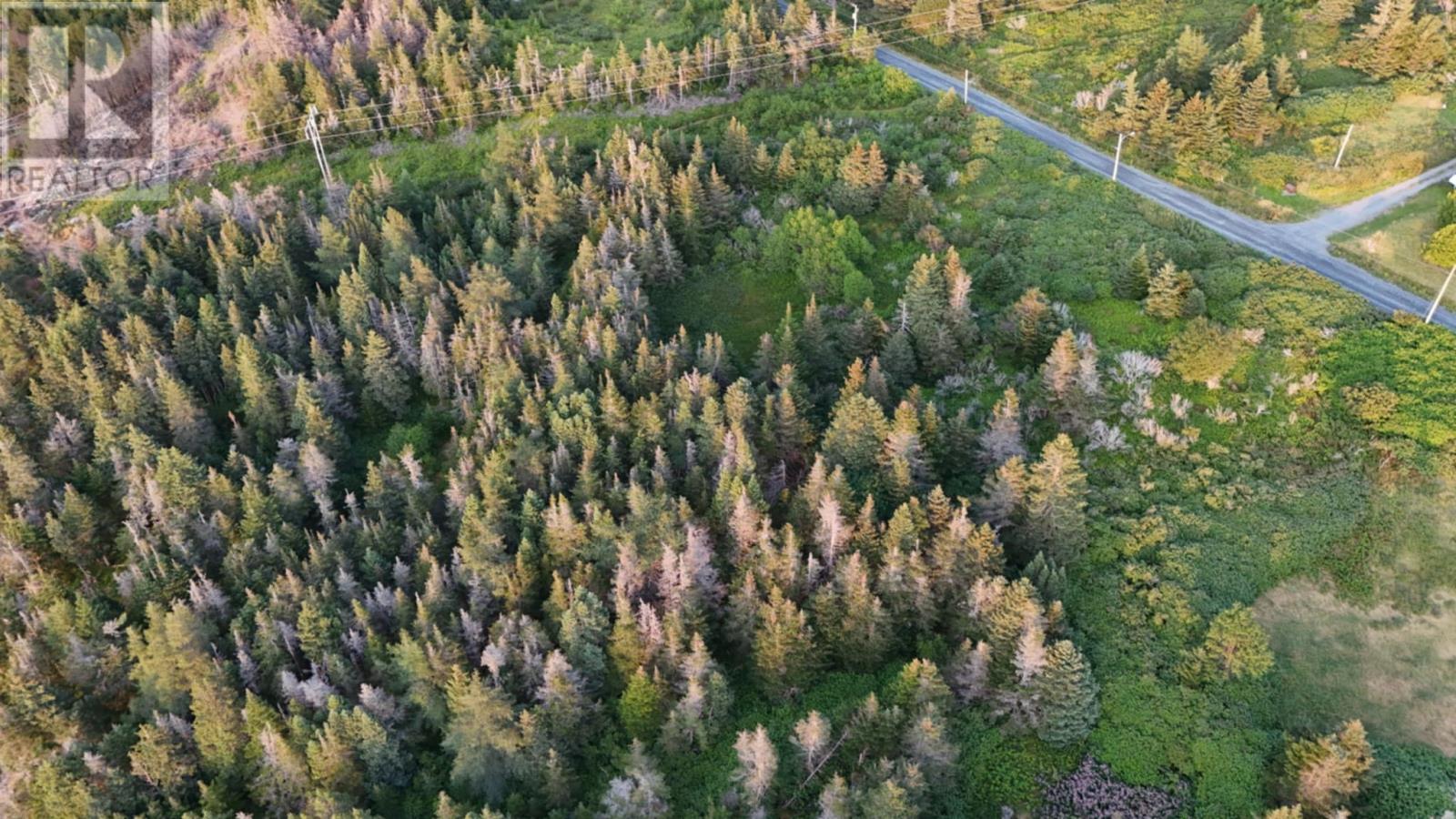 0 Clarkes Road, Carbonear, Newfoundland & Labrador  A1Y 1A6 - Photo 2 - 1295448