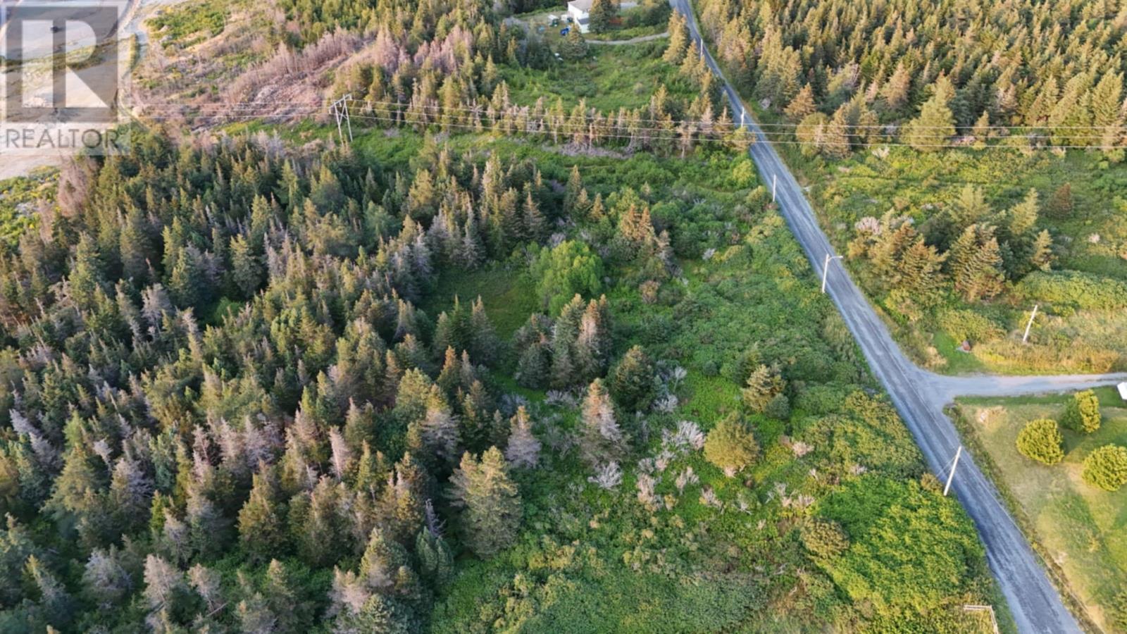 0 Clarkes Road, Carbonear, Newfoundland & Labrador  A1Y 1A6 - Photo 3 - 1295448