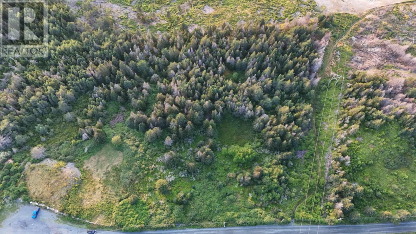 0 Clarkes Road, Carbonear, Newfoundland & Labrador  A1Y 1A6 - Photo 4 - 1295448