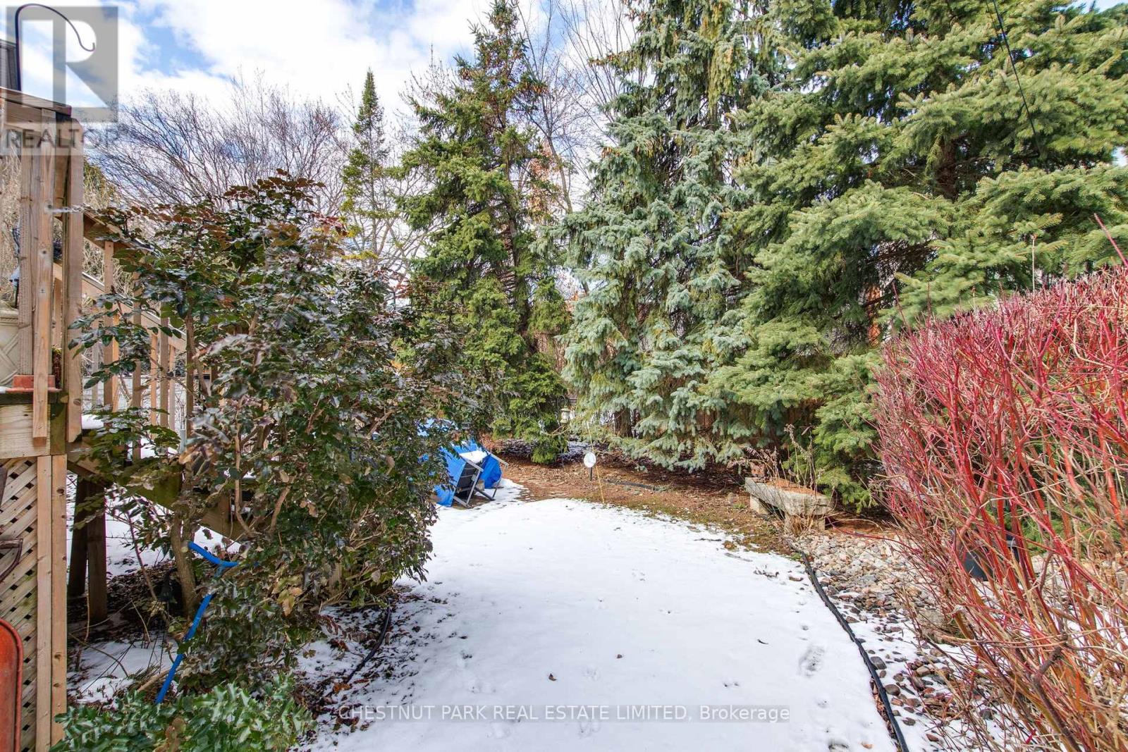 552 Melrose Avenue, Toronto, Ontario  M5M 2A3 - Photo 49 - C12908850