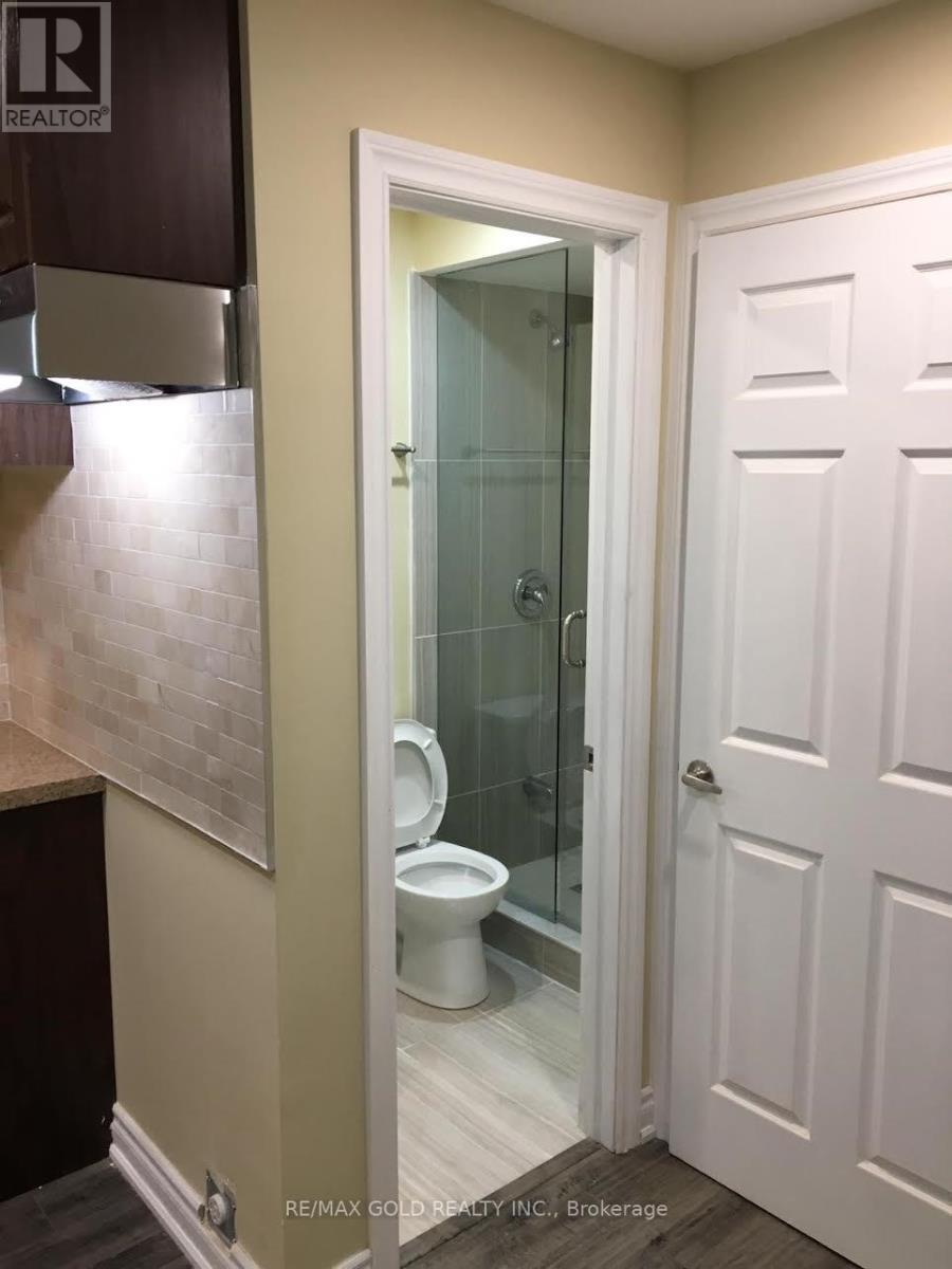 Bsmt - 62 Bandera Drive, Brampton, Ontario  L6Y 5Z2 - Photo 2 - W12908932