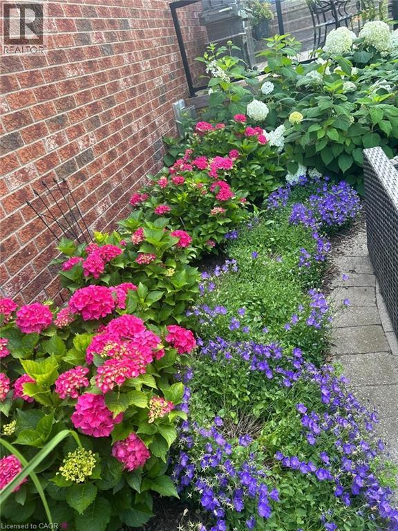 24 Cottonwood Crescent, Cambridge, Ontario  N1T 2A7 - Photo 46 - 40810746