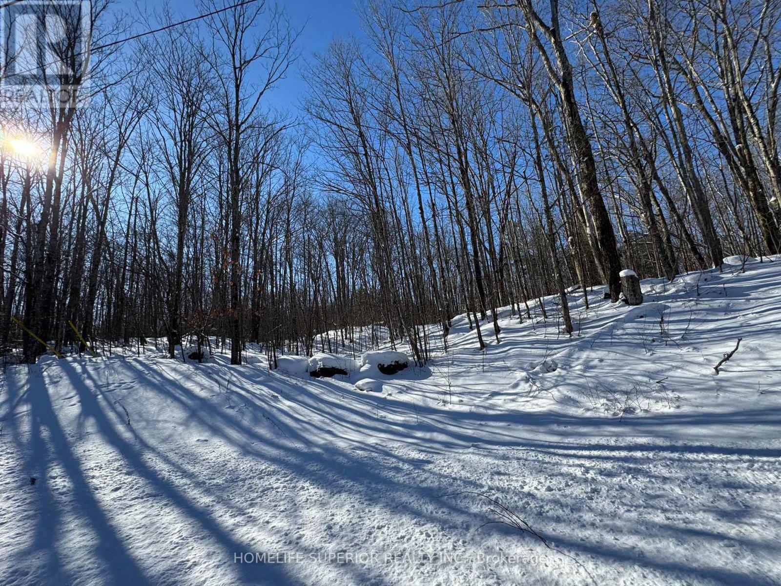 0 N Belmont Conc 10, Havelock-Belmont-Methuen, Ontario  K0L 1Z0 - Photo 2 - X12909144