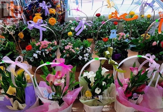 1364 Bathurst Street, Toronto (Wychwood), Ontario  M5R 3H7 - Photo 19 - C12909202