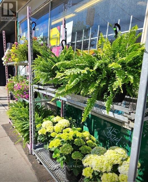 1364 Bathurst Street, Toronto (Wychwood), Ontario  M5R 3H7 - Photo 6 - C12909202