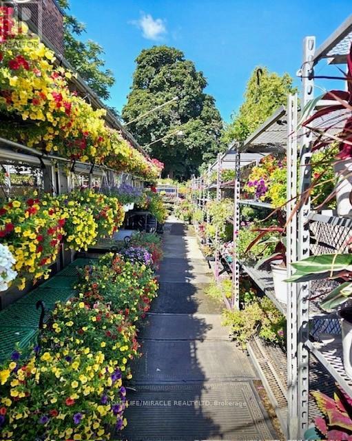 1364 Bathurst Street, Toronto (Wychwood), Ontario  M5R 3H7 - Photo 8 - C12909202