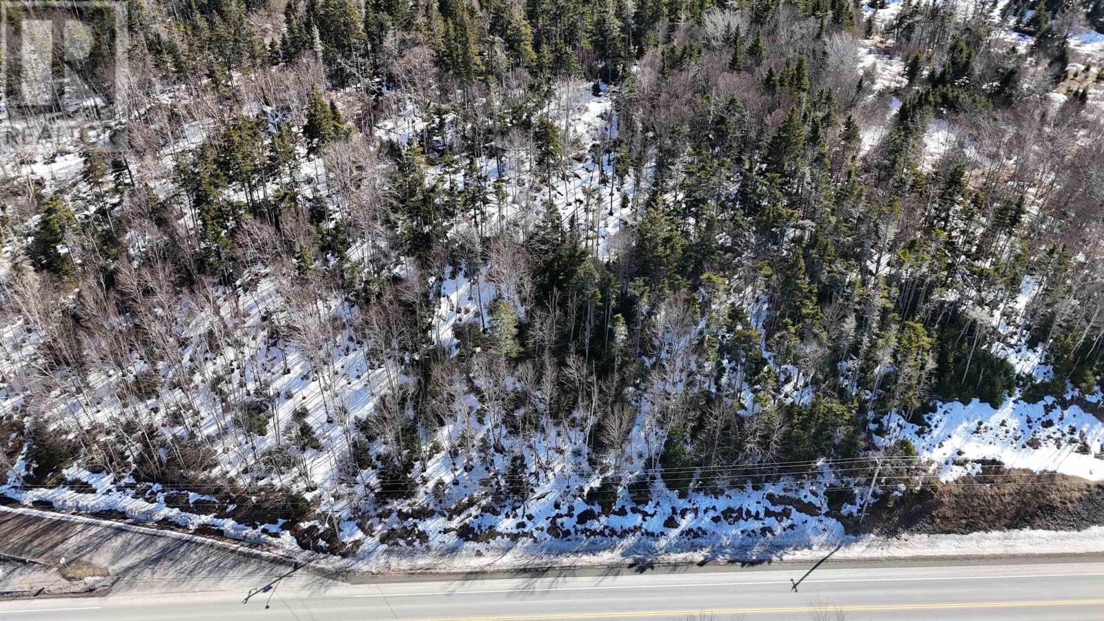 Highway 4, Lynche River, Nova Scotia  B0E 3B0 - Photo 7 - 202604694