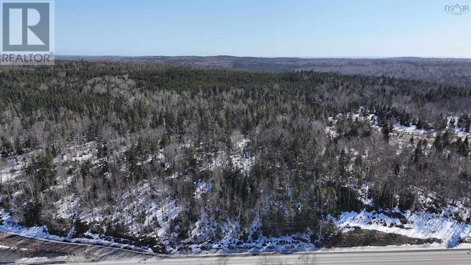 Highway 4, Lynche River, Nova Scotia  B0E 3B0 - Photo 6 - 202604694