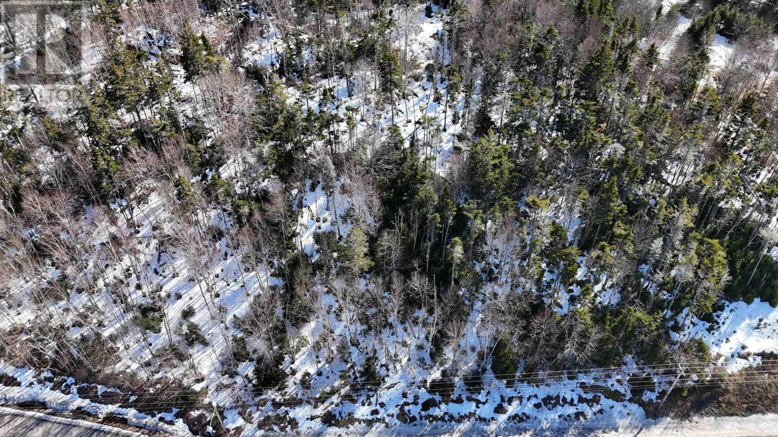 Highway 4, Lynche River, Nova Scotia  B0E 3B0 - Photo 8 - 202604694
