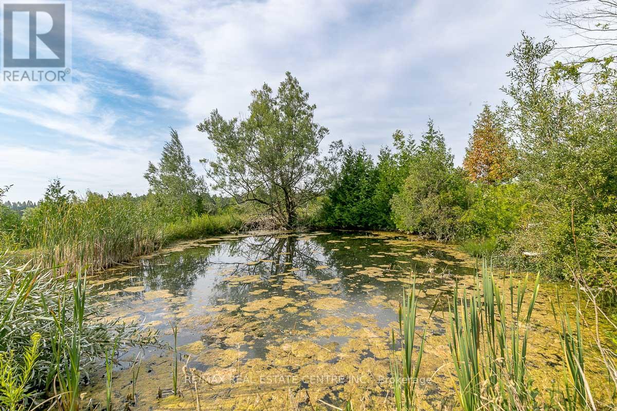 0 Shaws Creek Road, Caledon, Ontario  L7C 1V9 - Photo 10 - W12909274