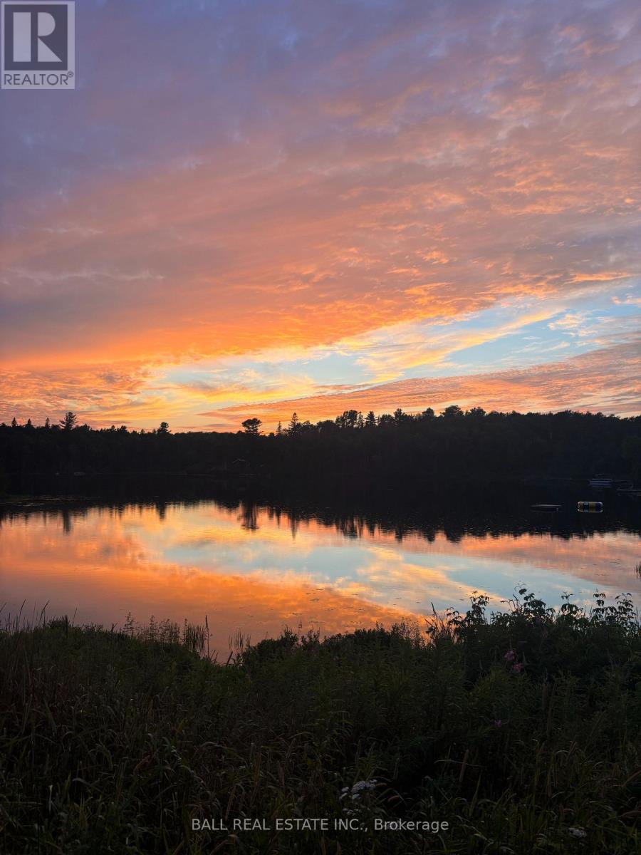 198 Davies Lane, South Algonquin, Ontario  K0J 2C0 - Photo 48 - X12908276