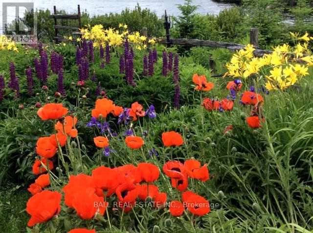 198 Davies Lane, South Algonquin, Ontario  K0J 2C0 - Photo 46 - X12908276