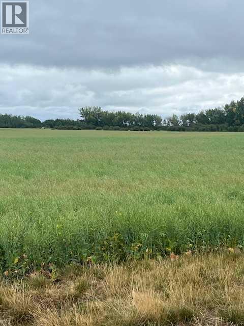 892021, 221 Range Road, Rural Northern Lights, Alberta  T0H 2M0 - Photo 34 - A2245808