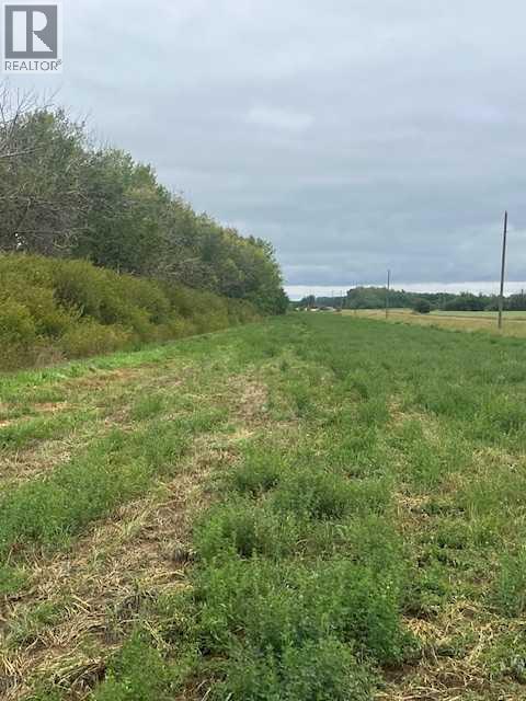 892021, 221 Range Road, Rural Northern Lights, Alberta  T0H 2M0 - Photo 32 - A2245808