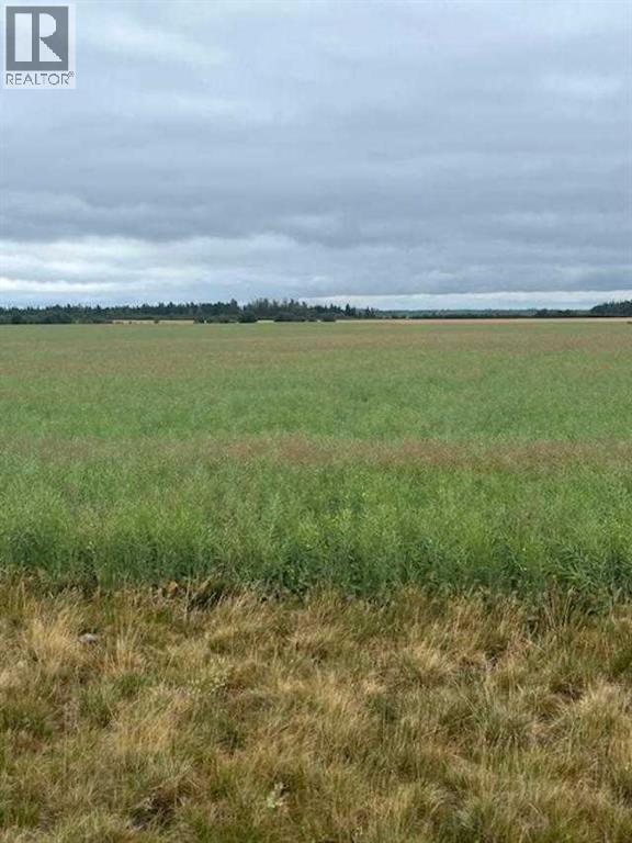 892021, 221 Range Road, Rural Northern Lights, Alberta  T0H 2M0 - Photo 30 - A2245808