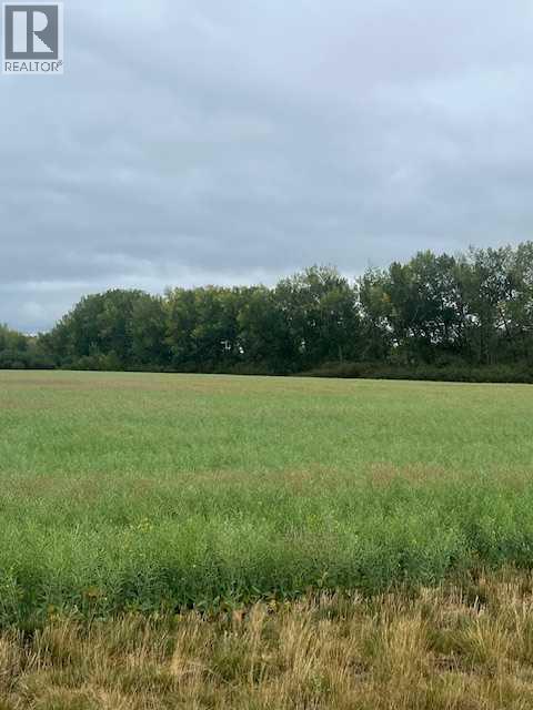 892021, 221 Range Road, Rural Northern Lights, Alberta  T0H 2M0 - Photo 31 - A2245808