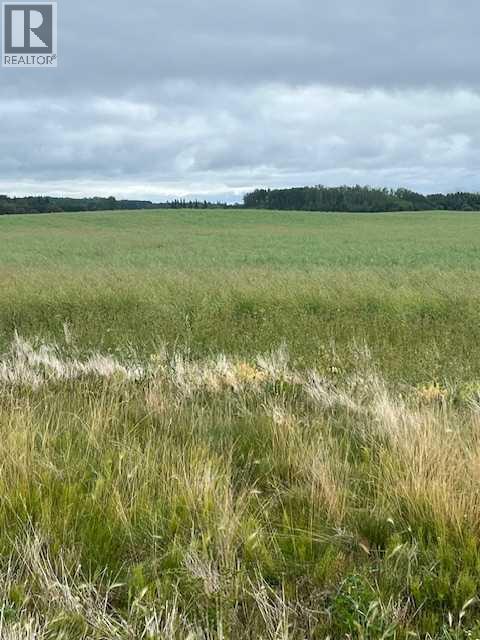 892021, 221 Range Road, Rural Northern Lights, Alberta  T0H 2M0 - Photo 35 - A2245808