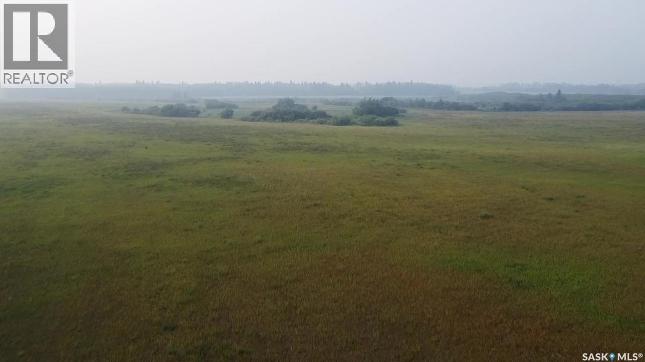 124 Acres - Preeceville Rm 334, Preeceville Rm No. 334, Saskatchewan  S0A 0C4 - Photo 10 - SK031062