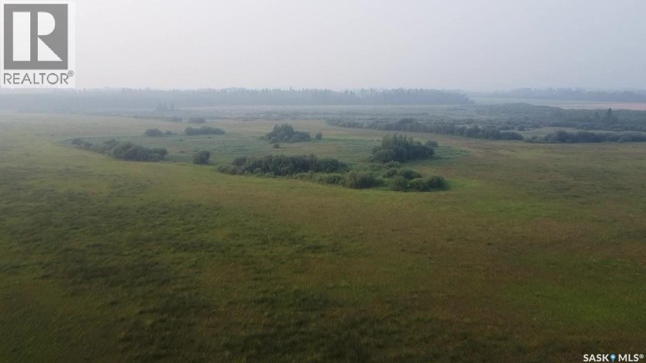 124 Acres - Preeceville Rm 334, Preeceville Rm No. 334, Saskatchewan  S0A 0C4 - Photo 11 - SK031062