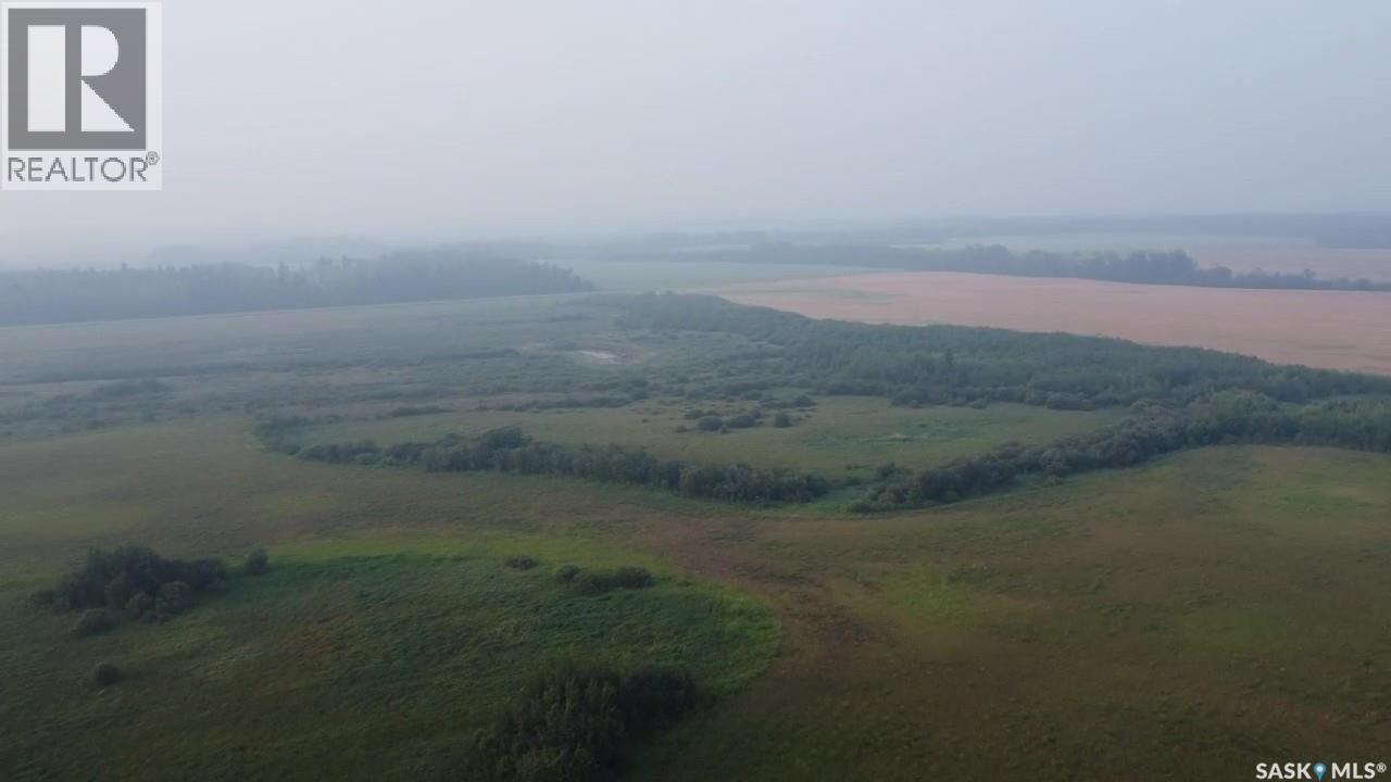 124 Acres - Preeceville Rm 334, Preeceville Rm No. 334, Saskatchewan  S0A 0C4 - Photo 14 - SK031062