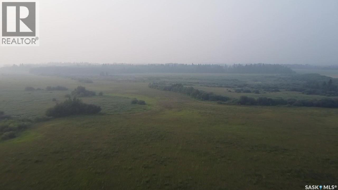 124 Acres - Preeceville Rm 334, Preeceville Rm No. 334, Saskatchewan  S0A 0C4 - Photo 19 - SK031062