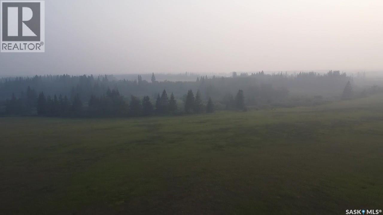 124 Acres - Preeceville Rm 334, Preeceville Rm No. 334, Saskatchewan  S0A 0C4 - Photo 21 - SK031062