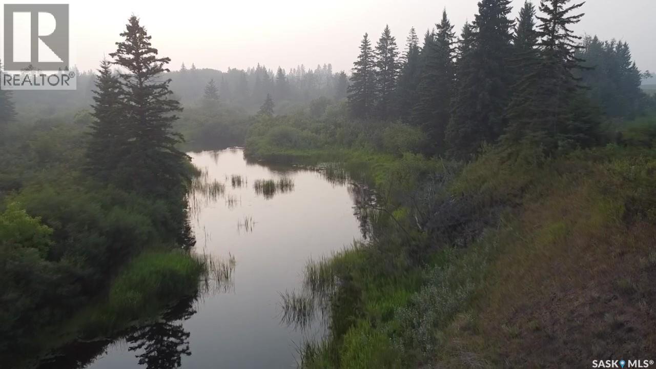 124 Acres - Preeceville Rm 334, Preeceville Rm No. 334, Saskatchewan  S0A 0C4 - Photo 6 - SK031062