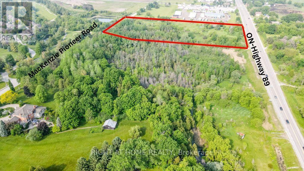 6179 On-89 Highway, New Tecumseth, Ontario  L9R 1V2 - Photo 11 - N12228101