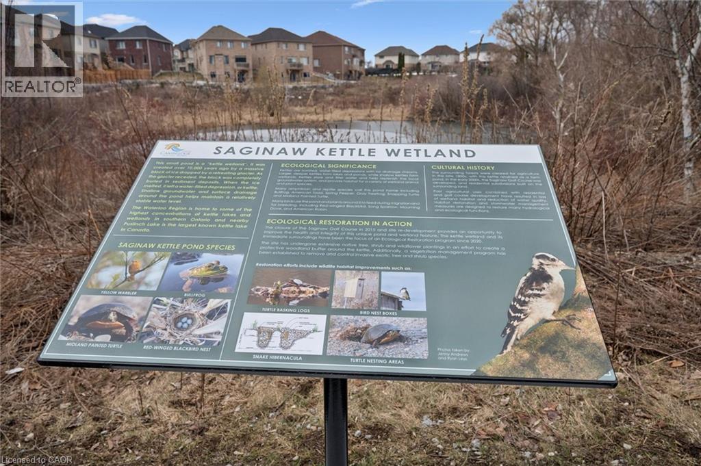 28 Garland Avenue, Cambridge, Ontario  N1R 1B7 - Photo 34 - 40812652