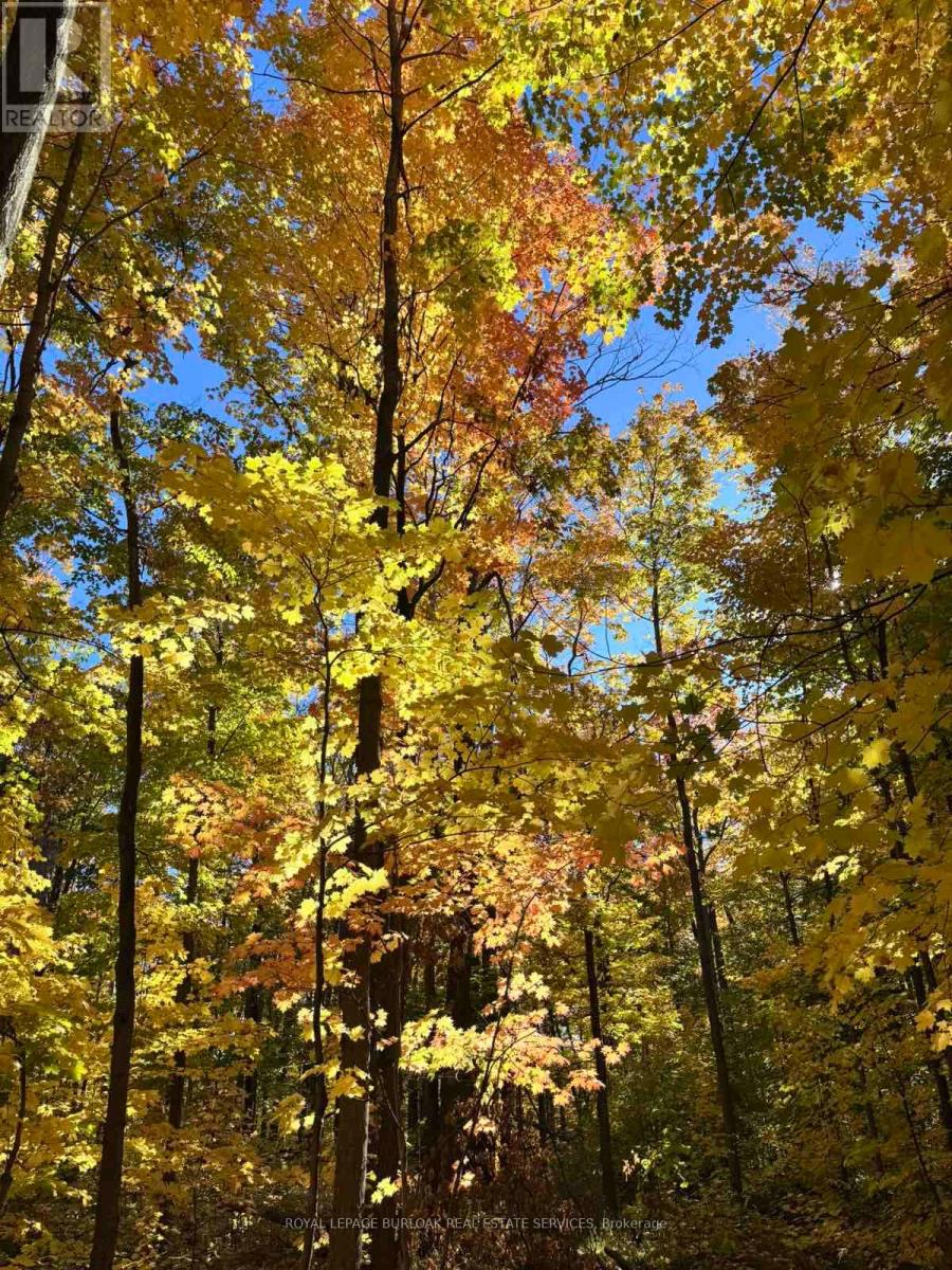 168 - 2050 Upper Middle Road, Burlington, Ontario  L7P 3R9 - Photo 24 - W12843768