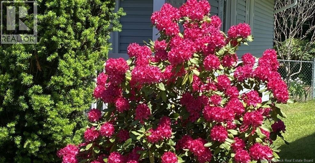 320 Yale Avenue, Riverview, New Brunswick  E1B 2B3 - Photo 43 - NB135152