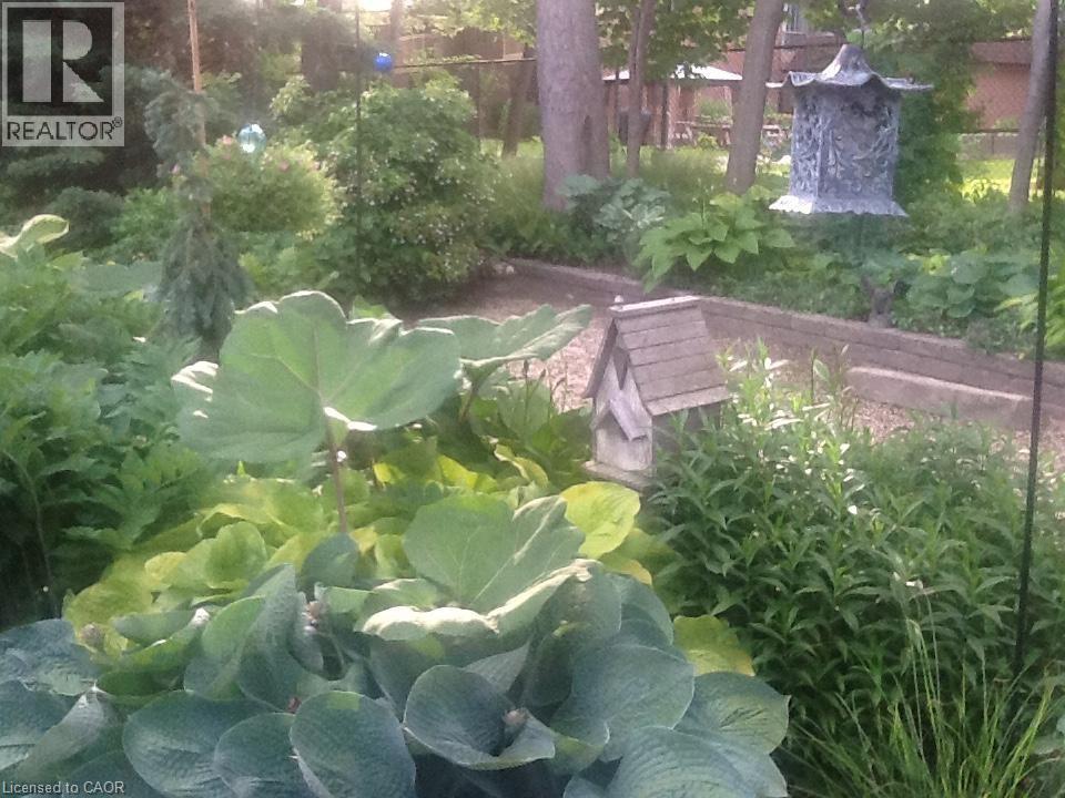 54 Glenwood Drive, Kitchener, Ontario  N2A 1H7 - Photo 33 - 40801021