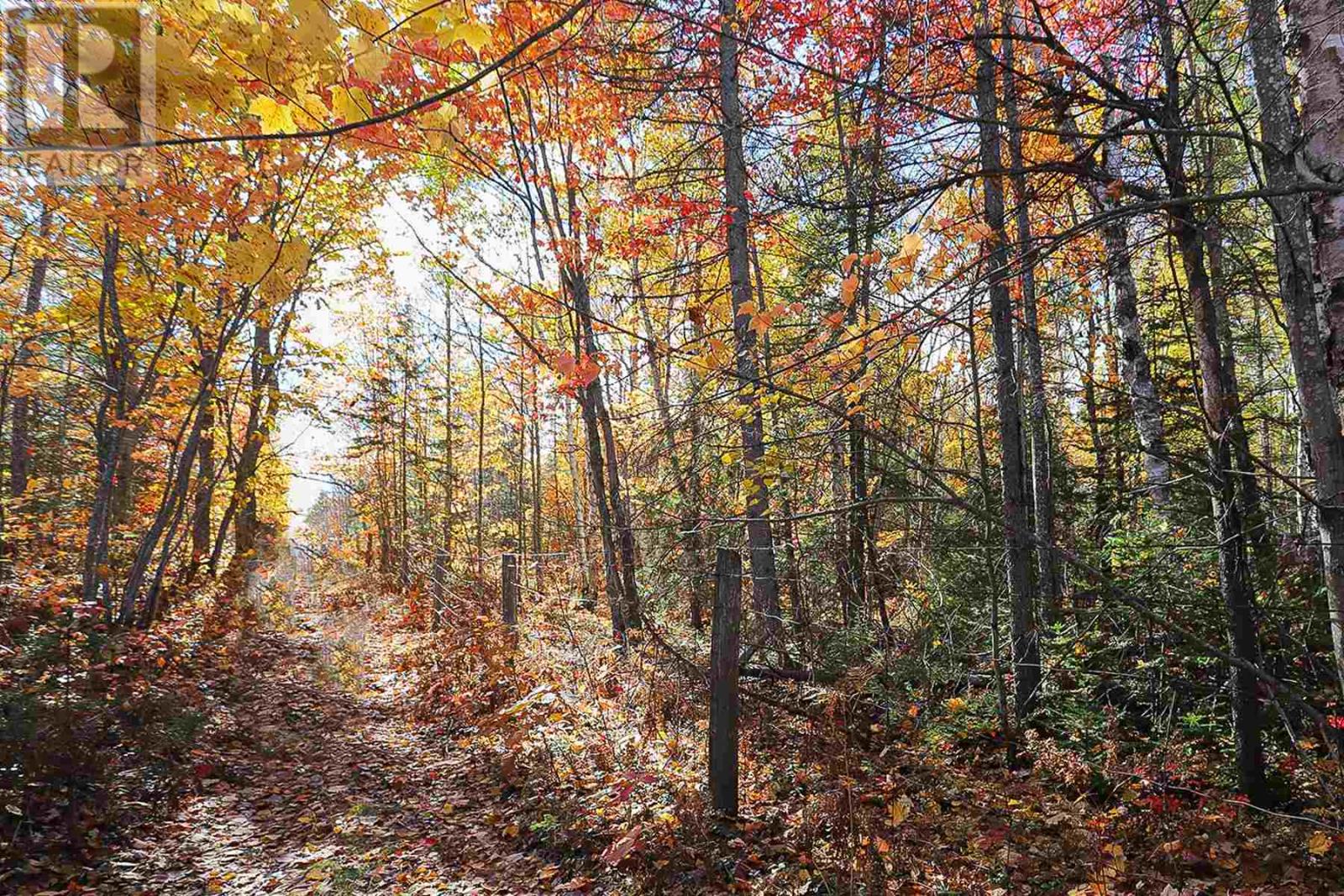 Lot 14&15 Nokomis Beach Rd, Sault Ste. Marie, Ontario  P6A 5K6 - Photo 7 - SM250061