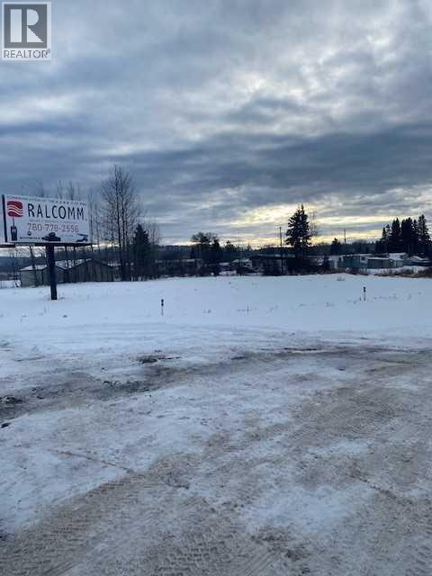 54 Ave Caxton Street W, Whitecourt, Alberta  T7S 0A6 - Photo 4 - A2182881