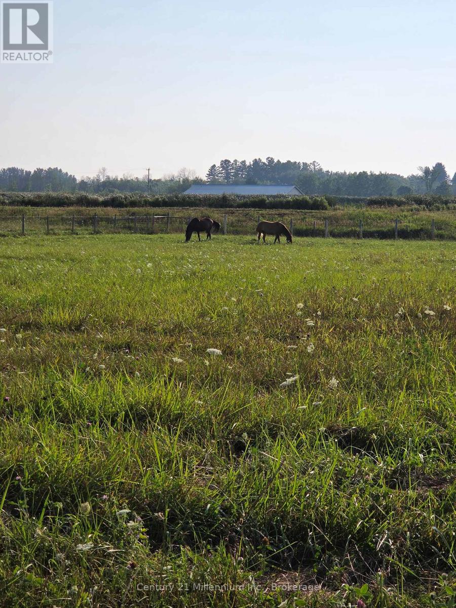 441090 Elm Street, Georgian Bluffs, Ontario  N0H 2T0 - Photo 48 - X12909624