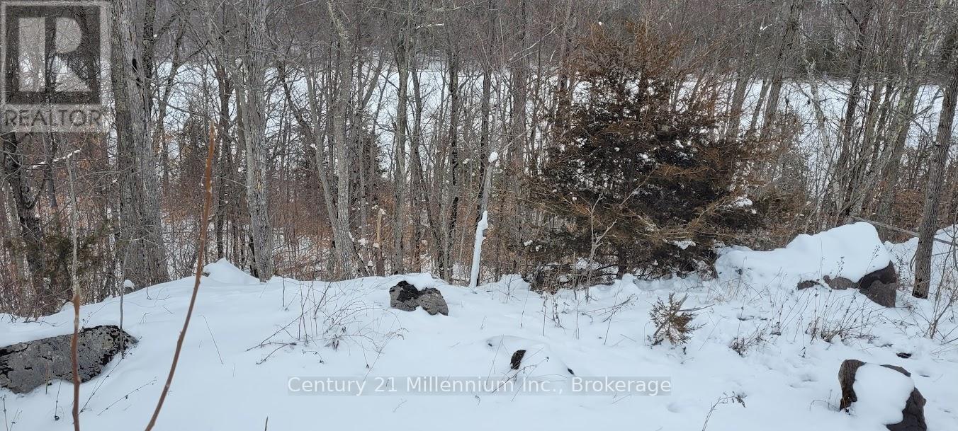 641 Lahey Road, Centre Hastings, Ontario K0K 2K0 - Photo 3 - X12909796