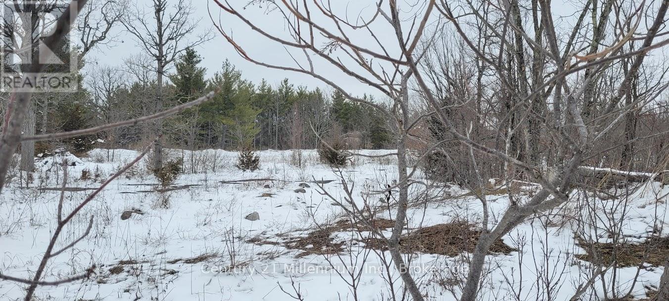 641 Lahey Road, Centre Hastings, Ontario K0K 2K0 - Photo 5 - X12909796