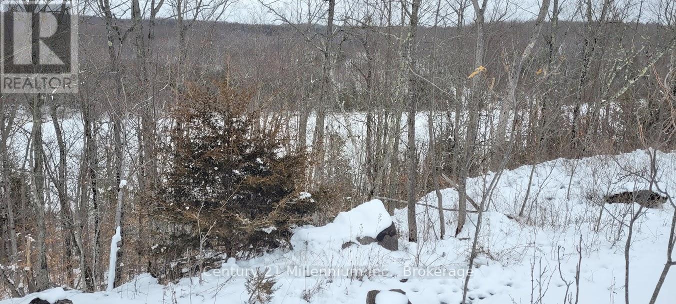 641 Lahey Road, Centre Hastings, Ontario K0K 2K0 - Photo 6 - X12909796