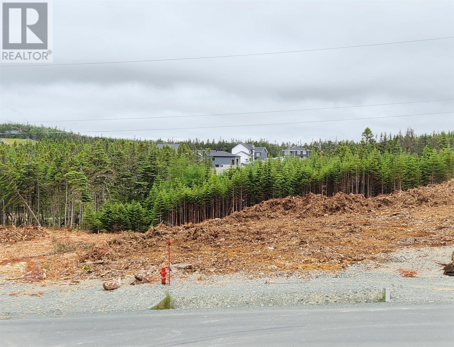 59 Peggy Deane Drive, Portugal Cove-St. Philips, Newfoundland & Labrador  A1M 0H7 - Photo 3 - 1295432