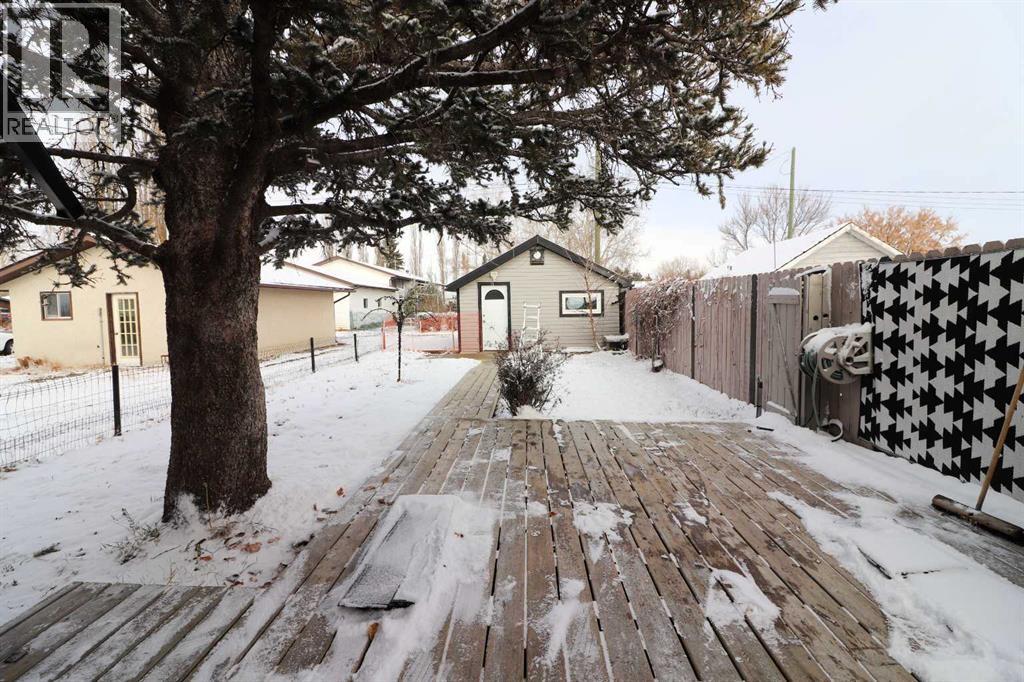 8 Railway Avenue E, Schuler, Alberta  T0J 3B0 - Photo 5 - A2274402