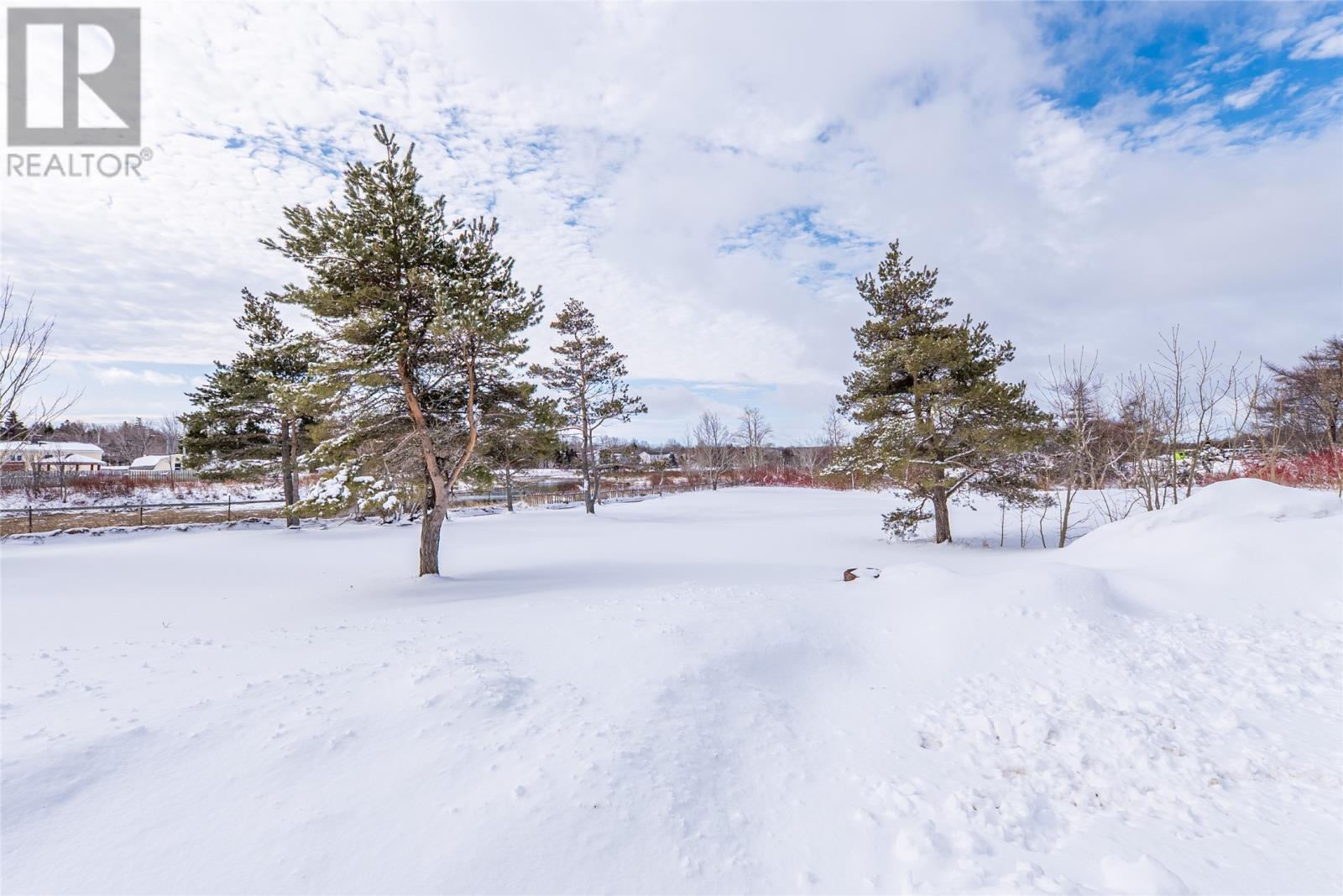 815 Topsail Road, Mount Pearl, Newfoundland & Labrador  A1N 3J6 - Photo 46 - 1295423