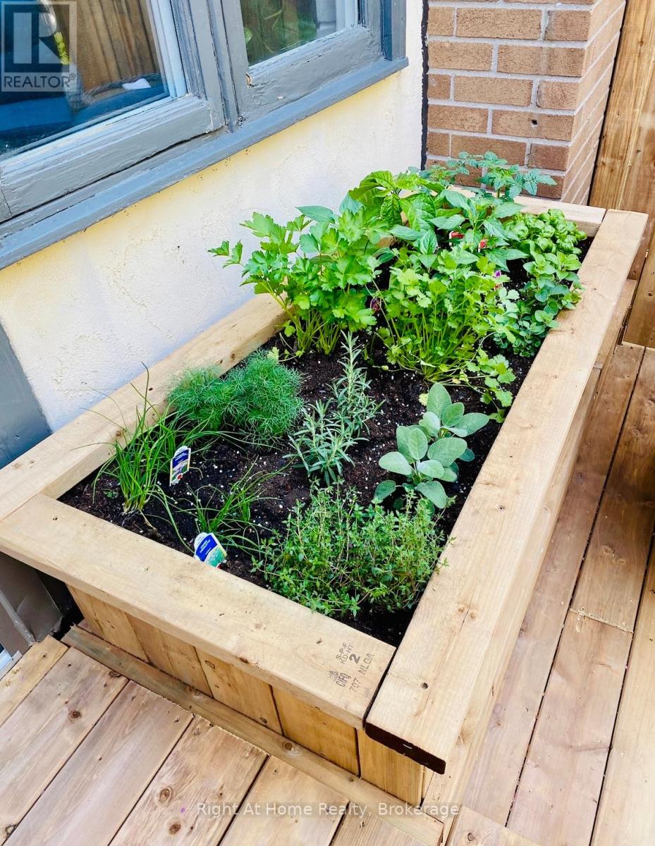 109 Brant Street, Oakville, Ontario  L6K 2Z7 - Photo 24 - W12910080