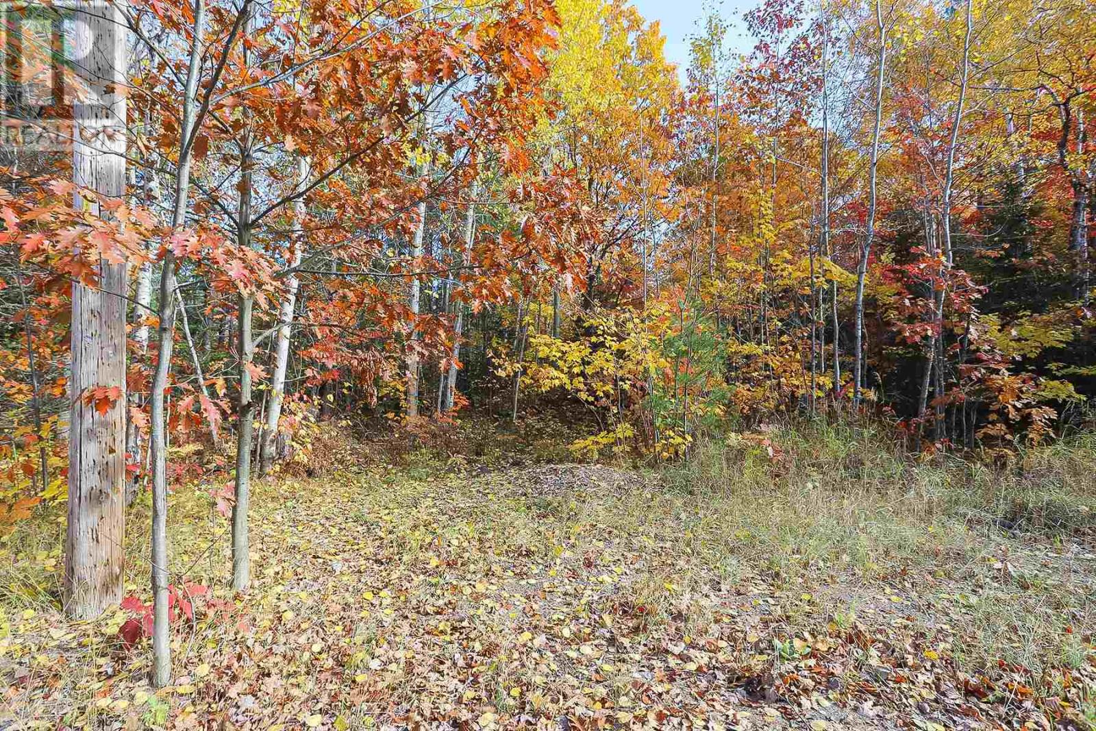 Lot 17 Nokomis Beach Rd, Sault Ste. Marie, Ontario  P6A 5K6 - Photo 7 - SM250055